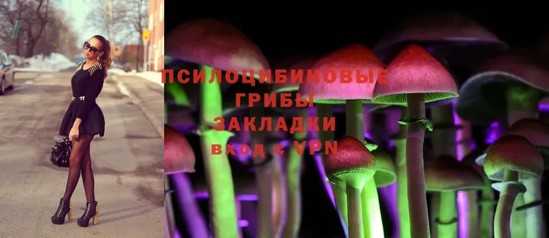 Псилоцибиновые грибы Cubensis  Воскресенск 